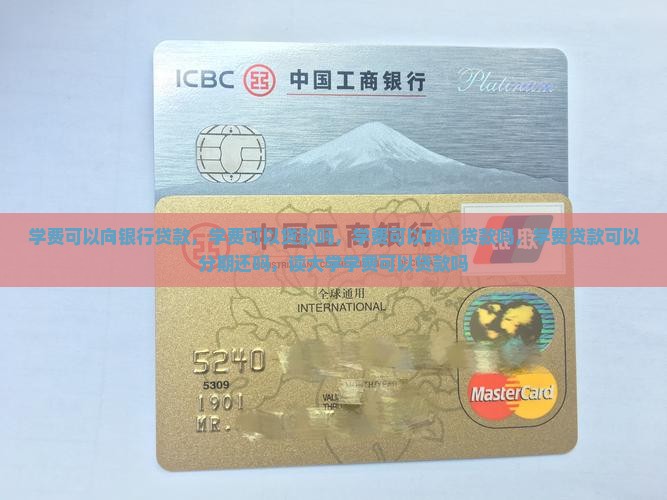 学费可以向银行贷款