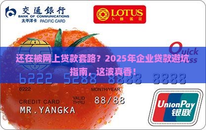 安全的网上企业贷款