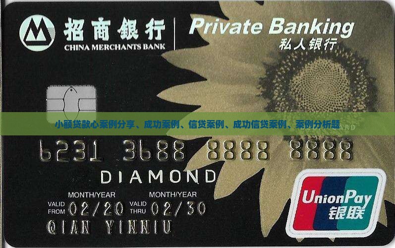 小额贷款心案例