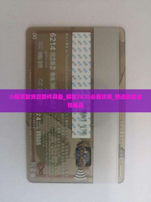 小额贷款贷款条件具备