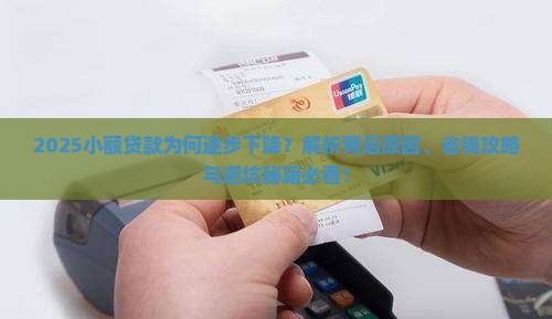 小额贷款逐步下降原因