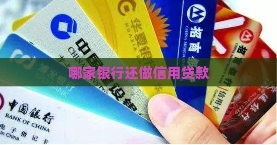 哪家银行还做信用贷款