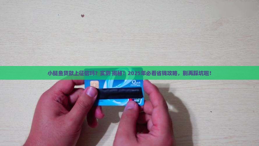 小鲢鱼贷款上征信吗