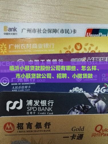 临沂小额贷款股份公司