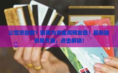 公司贷款假