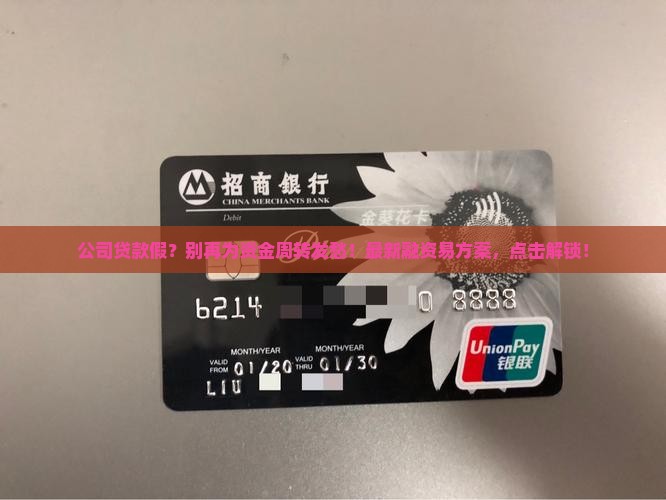 公司贷款假