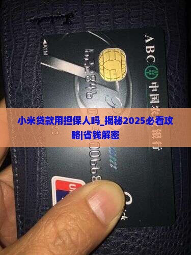小米贷款用担保人吗