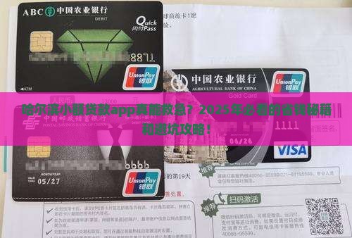 哈尔滨小额贷款app