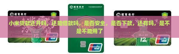 小米贷款还开吗