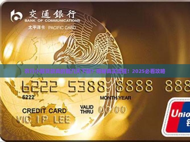 农行小额贷款几天下款