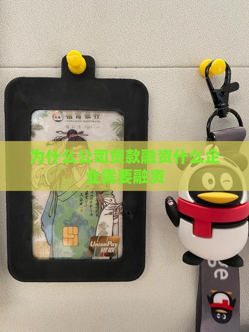 为什么公司都是贷款融资