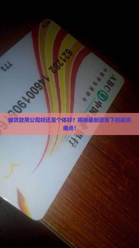 做贷款用公司好还是个体好