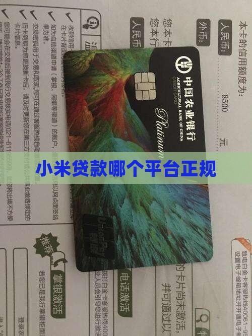 小米贷款哪个平台正规点