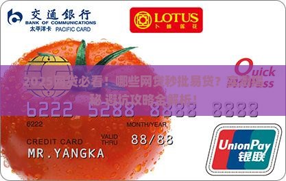 什么网贷容易贷款吗