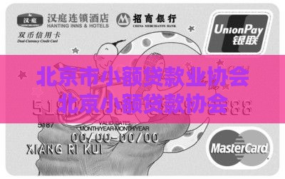 北京市小额贷款业协会