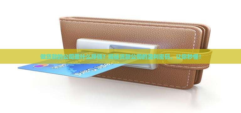 做贷款的公司靠什么挣钱