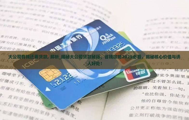 大公司有钱还要贷款