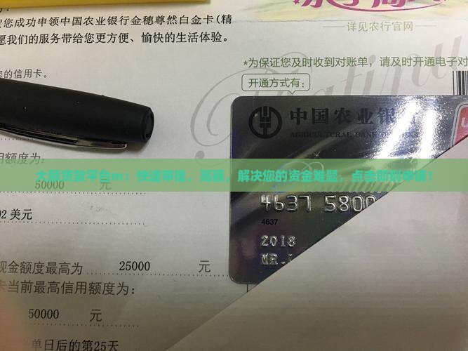 大额贷款平台m