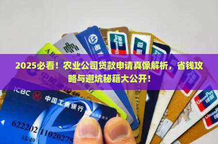 可以申请农业公司贷款吗