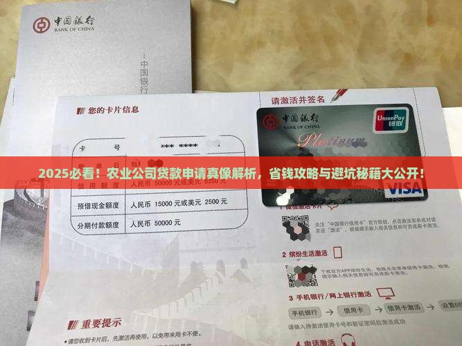 可以申请农业公司贷款吗