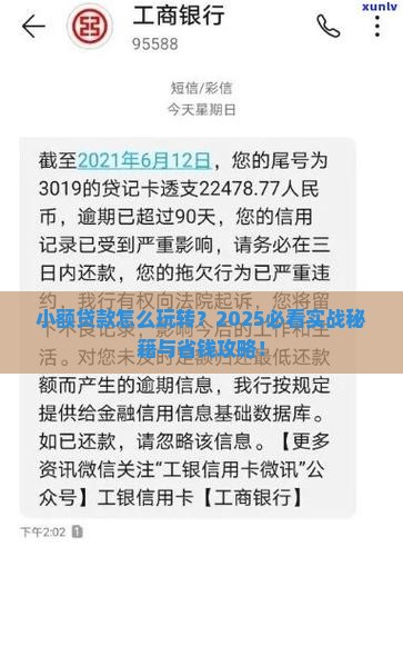小额贷款的发展