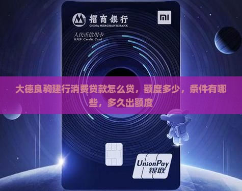 大德良驹建行消费贷款