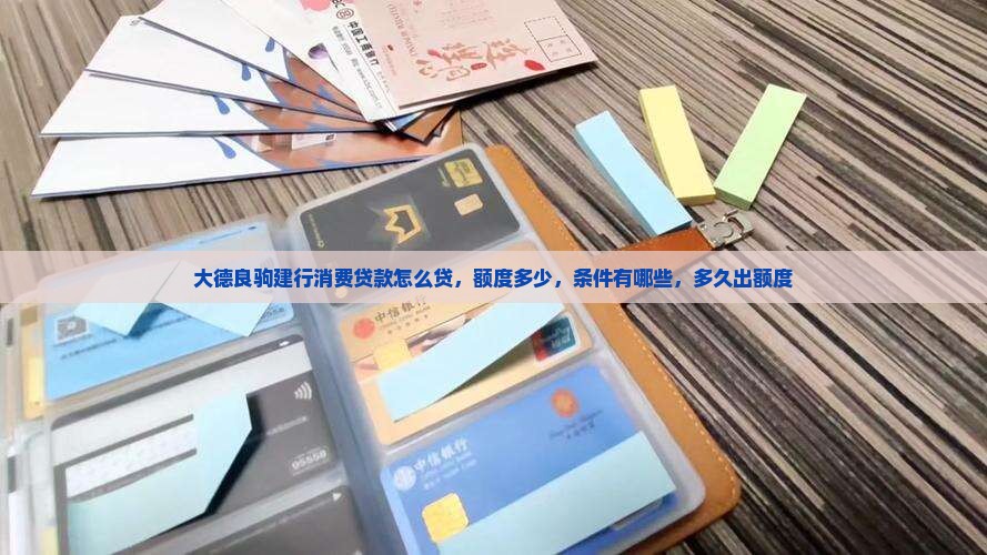 大德良驹建行消费贷款