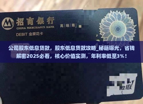 公司股东低息贷款