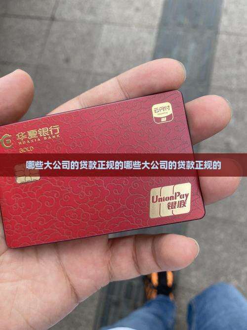 哪些大公司的贷款正规的