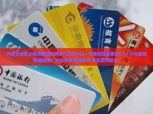 内蒙古地区小额贷款政策