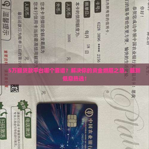 5万额贷款平台