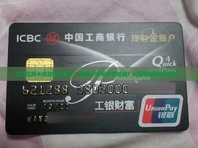工行信用卡贷款额