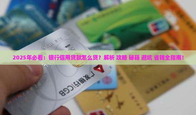 向银行信用贷款怎么贷