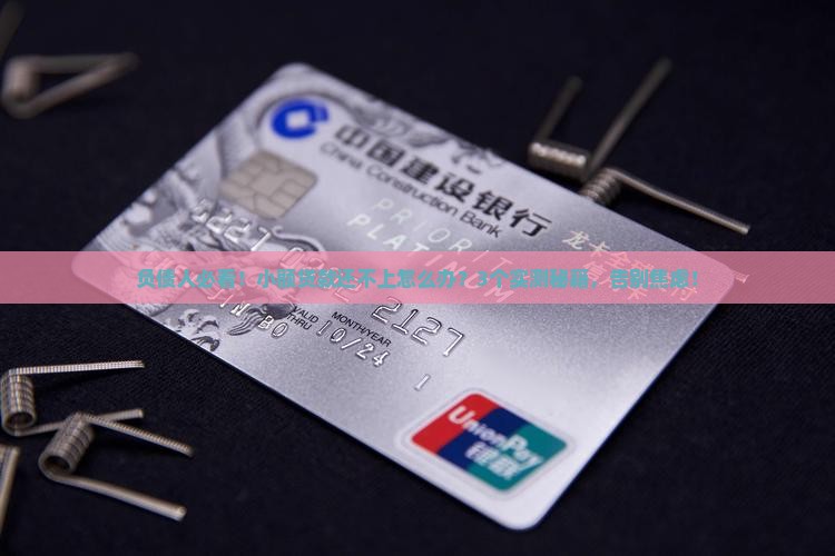 小额贷款的还不上怎么办