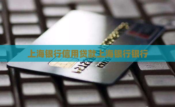 上海银行信用贷款