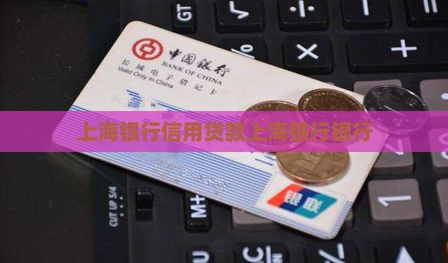 上海银行信用贷款