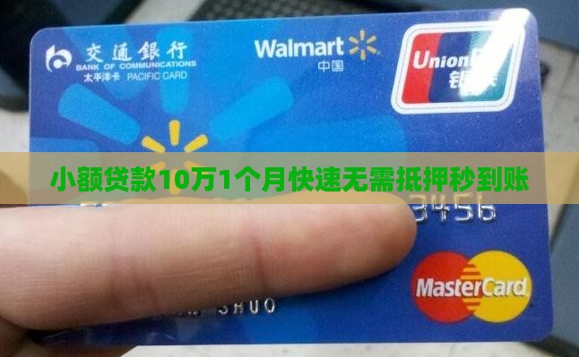 小额贷款10万1个月