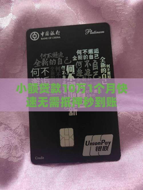 小额贷款10万1个月