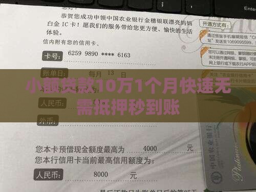 小额贷款10万1个月