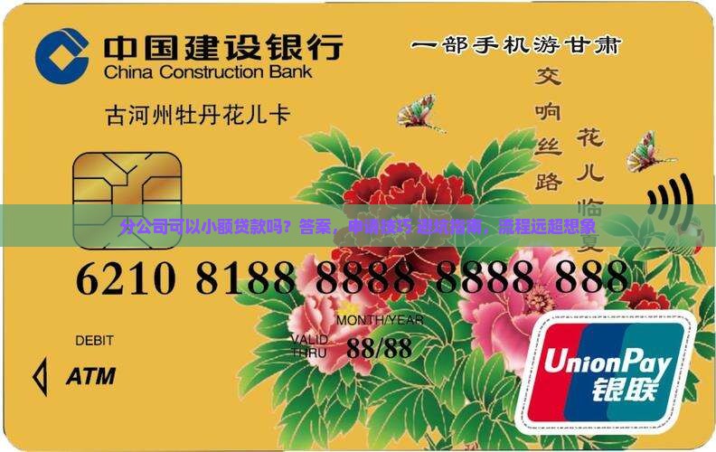 分公司可以小额贷款吗