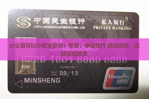 分公司可以小额贷款吗