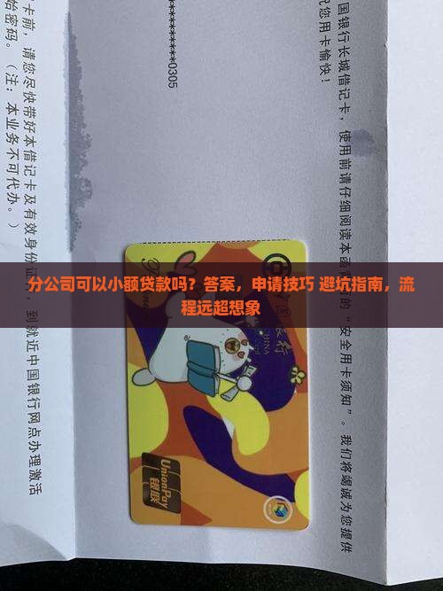 分公司可以小额贷款吗