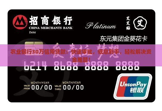 农业银行30万信用贷款