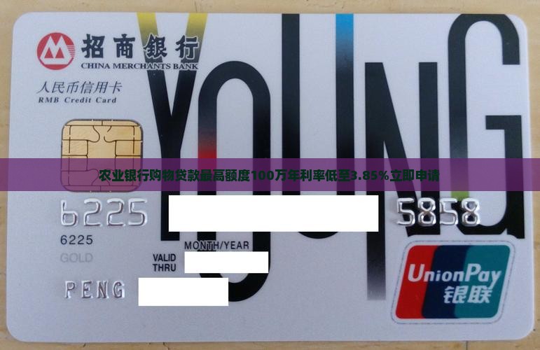 农业银行购物贷款