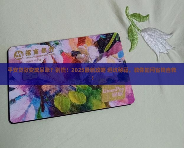 平安普惠贷款呆账怎么办