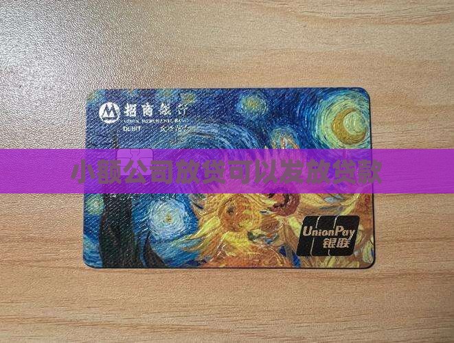 小贷公司辖区外发放贷款