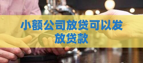 小贷公司辖区外发放贷款