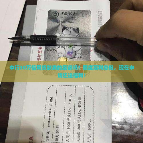 中行30万信用贷款