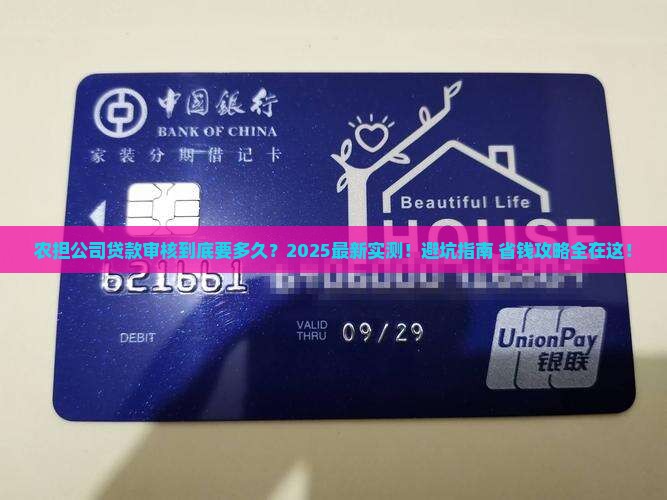 农担公司贷款审核多久