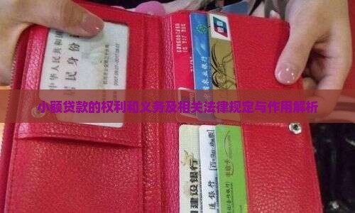 小额贷款的权利和义务